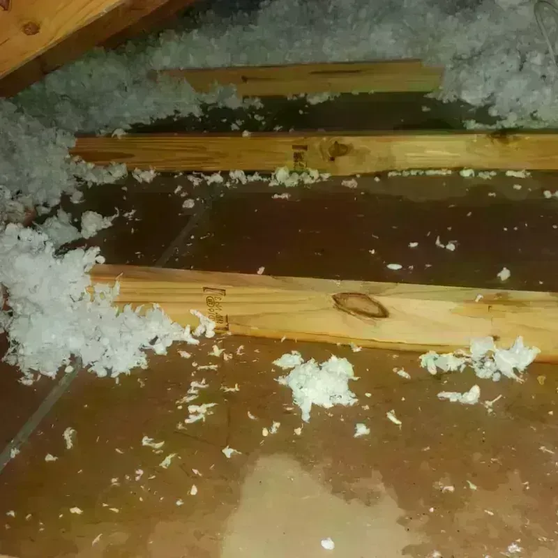 Attic Water Damage in Cottage Grove, WI